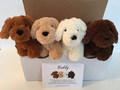 BUDDY FAMILY 1 BUDDY FAMILY 1